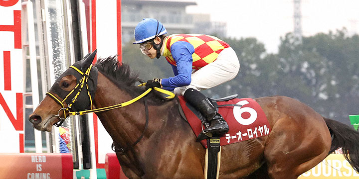 直線抜け出して阪神大賞典を快勝したテーオーロイヤル（撮影・白石智彦）＝2024年3月17日、阪神競馬場