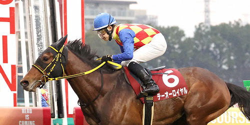 直線抜け出して阪神大賞典を快勝したテーオーロイヤル（撮影・白石智彦）＝2024年3月17日、阪神競馬場