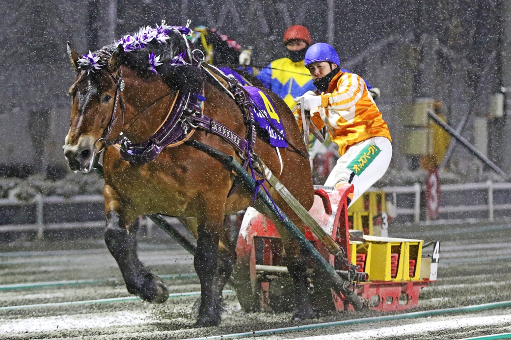 ばんえい記念を制したメムロボブサップ（写真提供・ばんえい十勝）