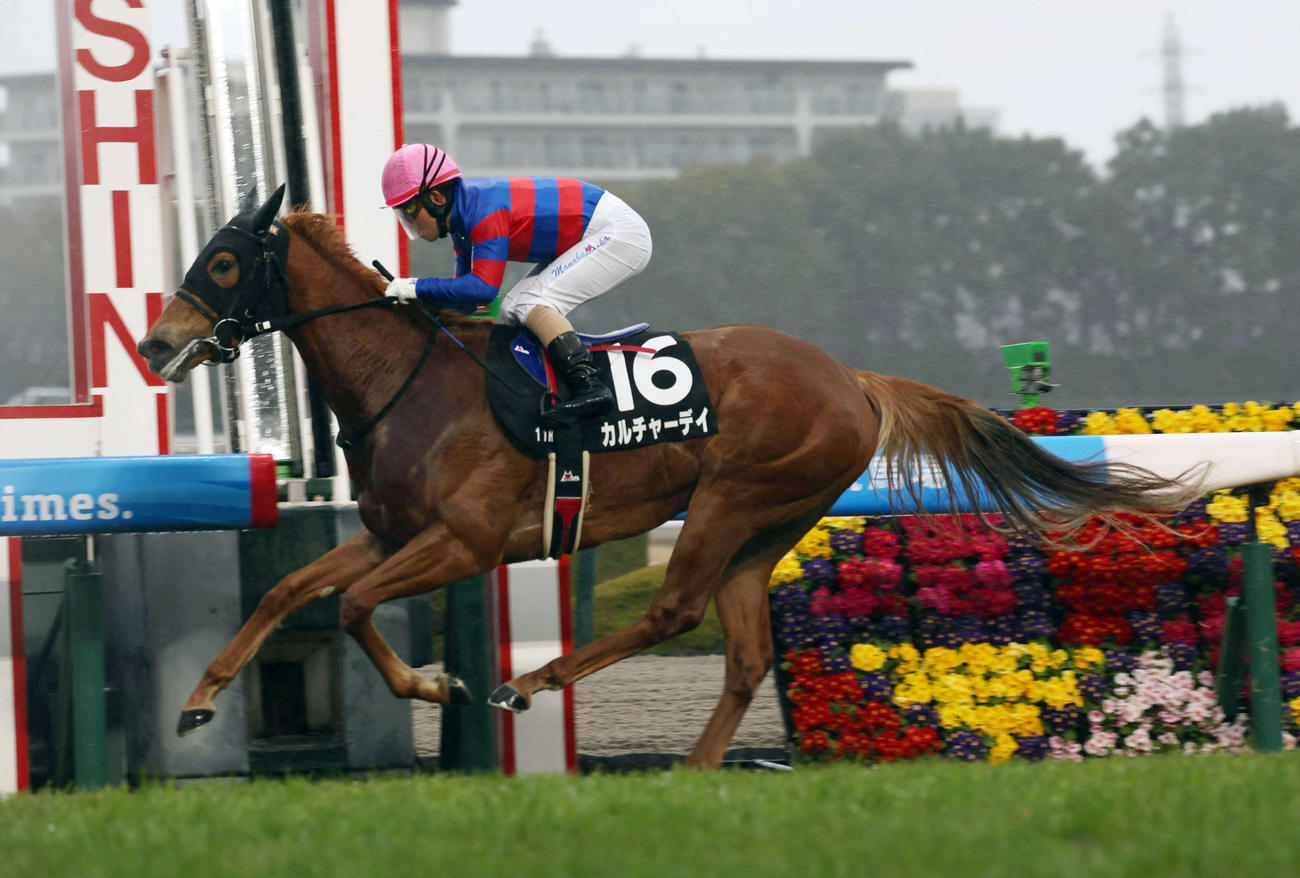 阪神11R、米子城Sを制したカルチャーデイ（撮影・宮崎幸一）