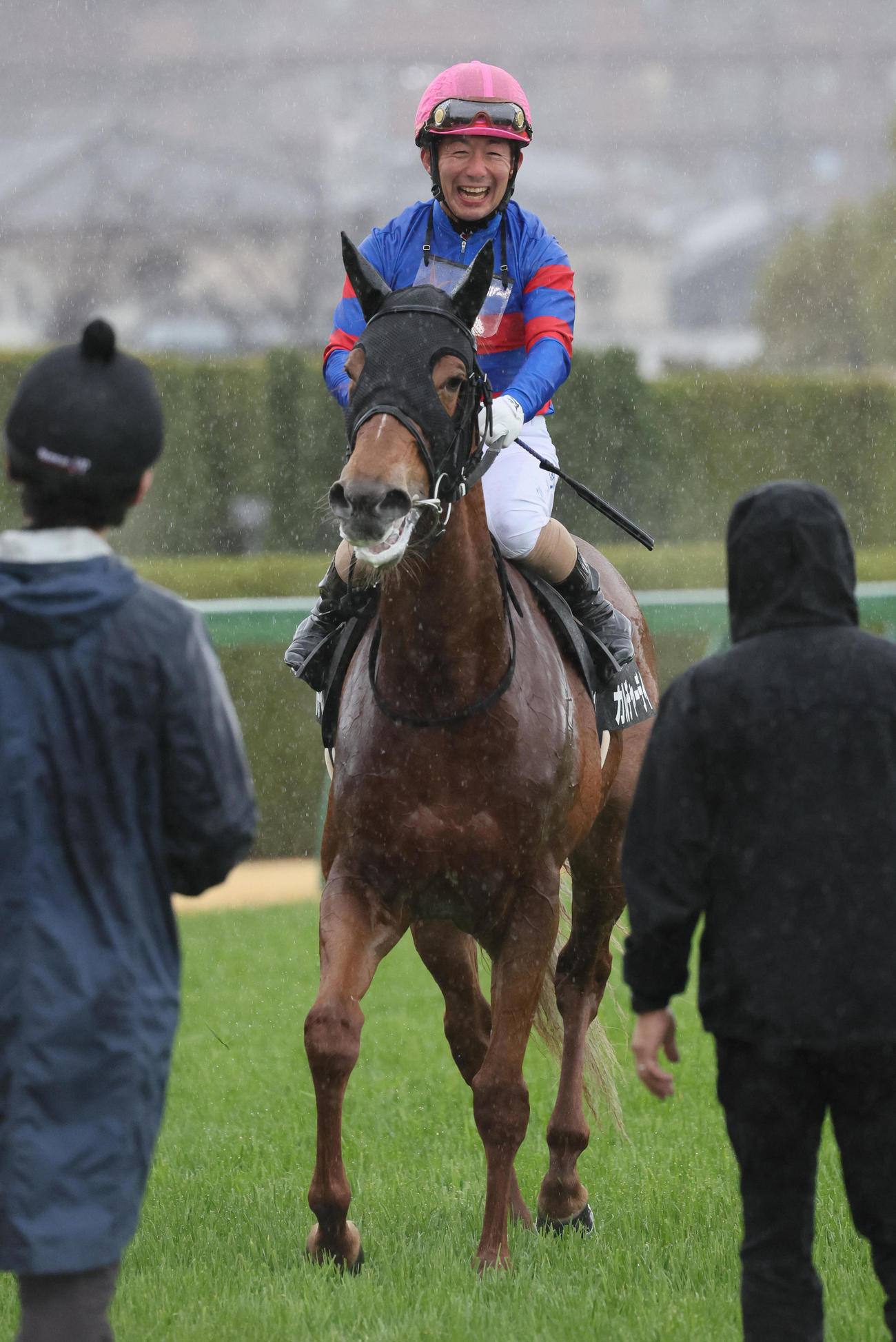 阪神11R、米子城Sを制したカルチャーデイ（撮影・宮崎幸一）