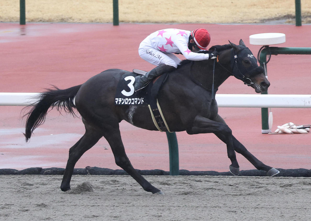 中京10R、3連勝で昇竜Sを制したマテンロウコマンド（撮影・白石智彦）