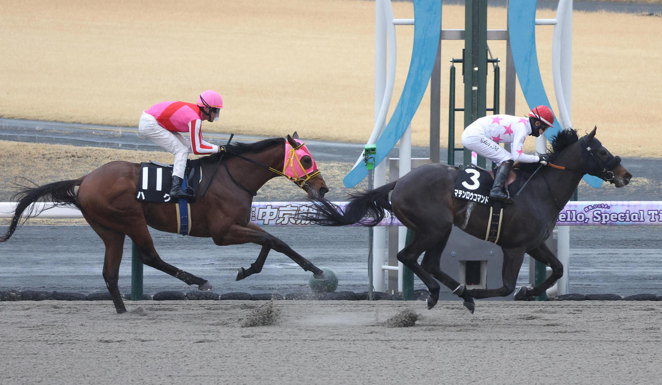 中京10R、3連勝で昇竜Sを制したマテンロウコマンド（右）（撮影・白石智彦）