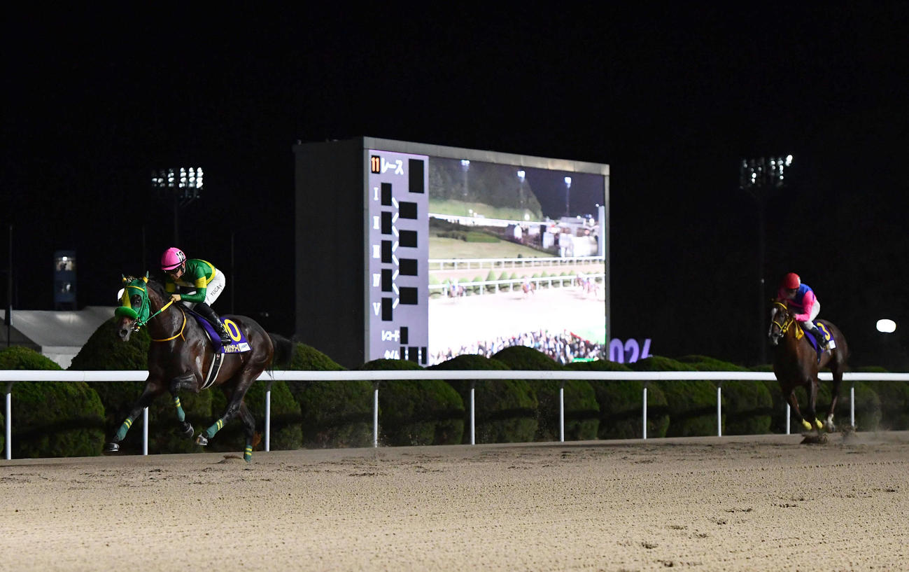 24年のJBCクラシック　4馬身差をつけ勝利したウィルソンテソーロ