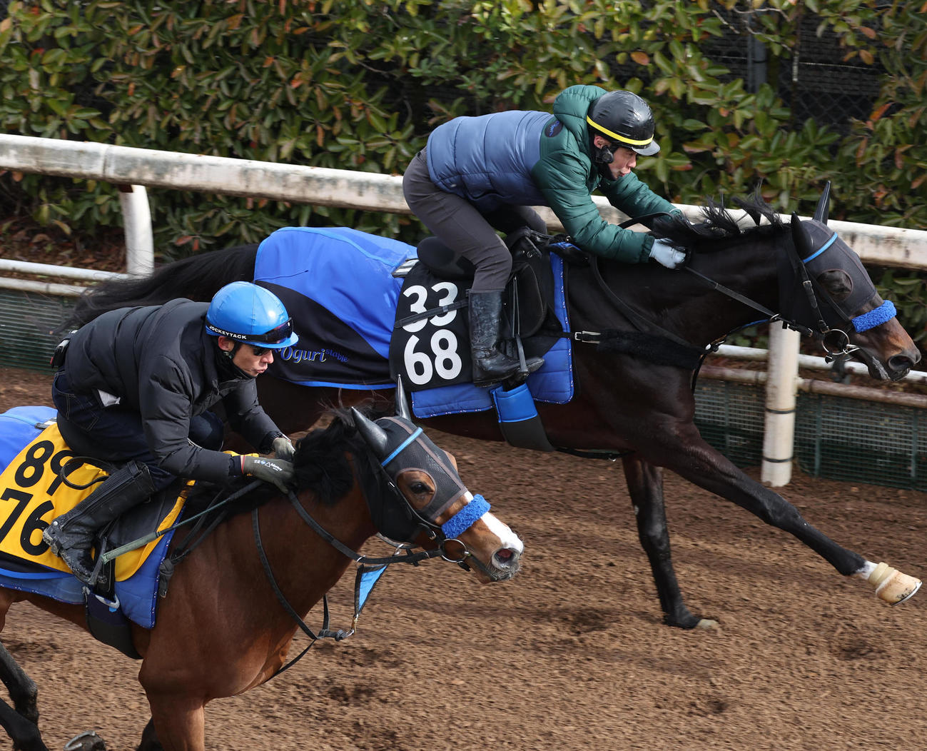 坂路を併せ馬で追い切るタイセイリコルド（右）（撮影・白石智彦）