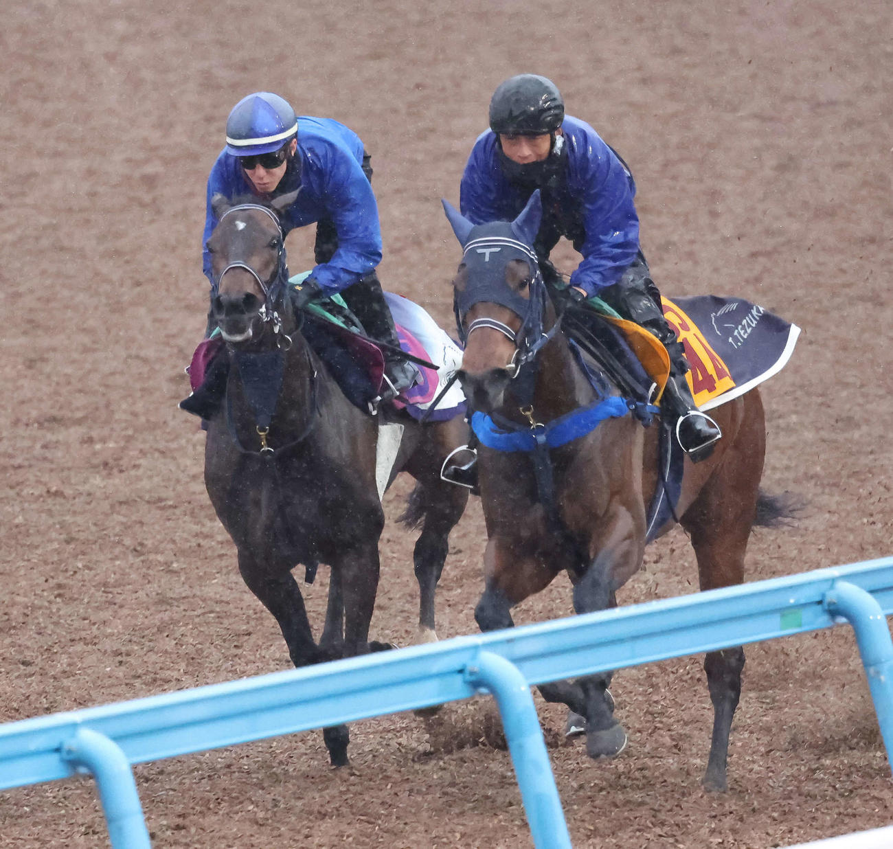 ゴーソーファー（左）は津村騎手を背に美浦ウッドでアルドールと併せて追い切られた（撮影・丹羽敏通）