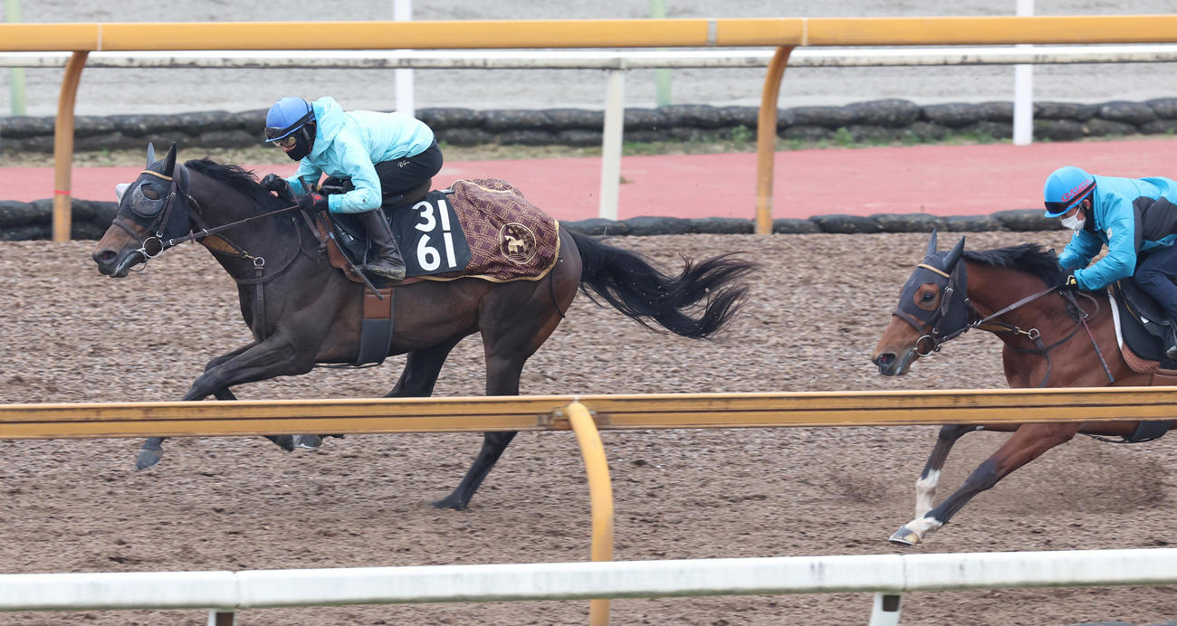 小崎騎手を背にCWコースにて併せ馬で追い切るクラスペディア（左）