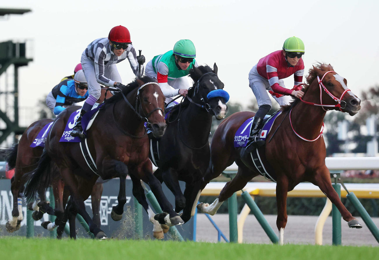 ジャパンCで2着同着のシンエンペラー（右）とドゥレッツァ（中）（24年11月撮影）