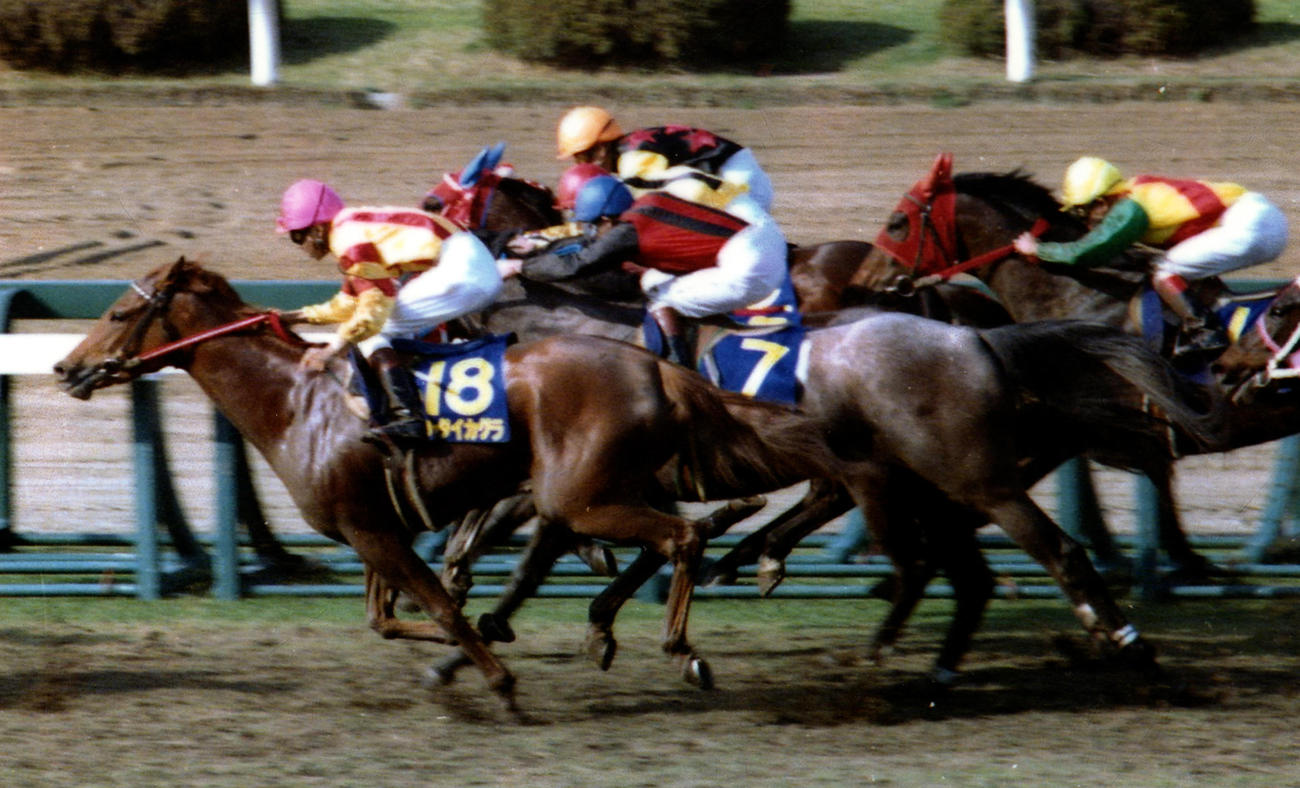 89年、桜花賞を制したシャダイカグラ（左）