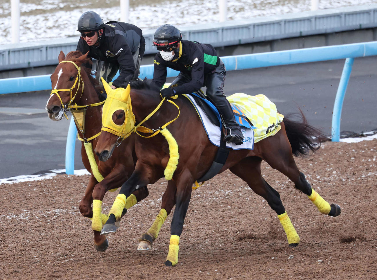 ワープスピード（手前）は美浦ウッドでバトルクライと併せて追い切られた（撮影・丹羽敏通）