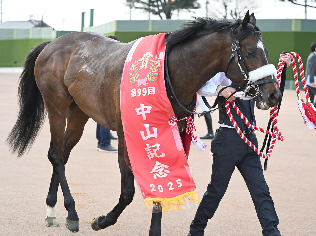 2日中山記念を制したシックスペンス