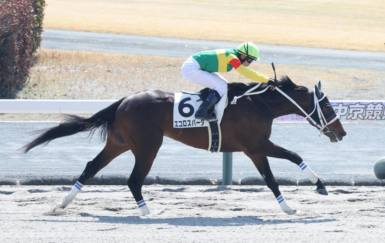 中京3R、エコロスパーダに騎乗してうれしいJRA初勝利を挙げた和田陽騎手（撮影・白石智彦）