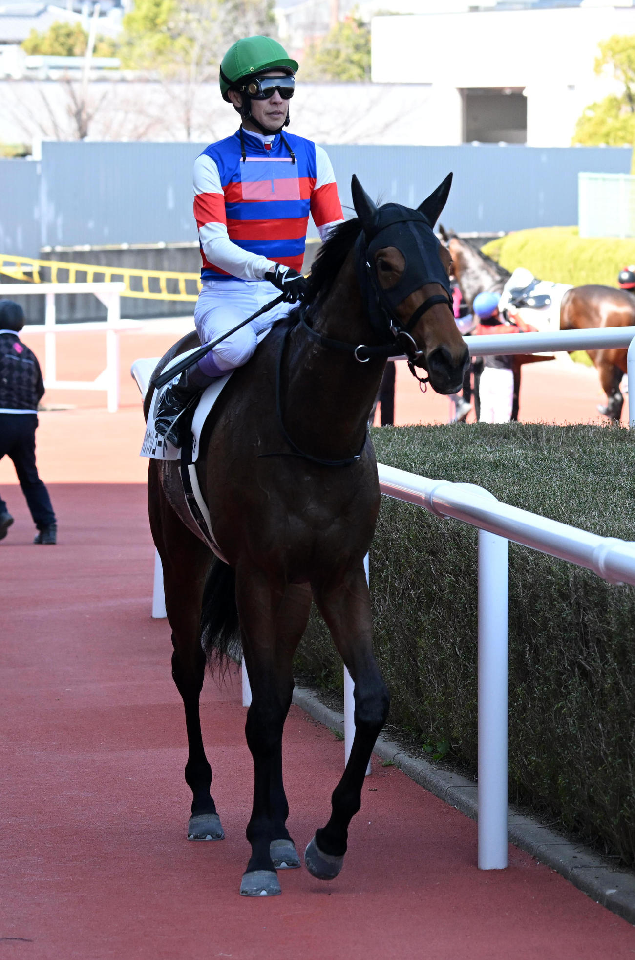 阪神4R、3歳未勝利を制したバッケンレコード　秋山真一郎調教師が初勝利（撮影・前岡正明）