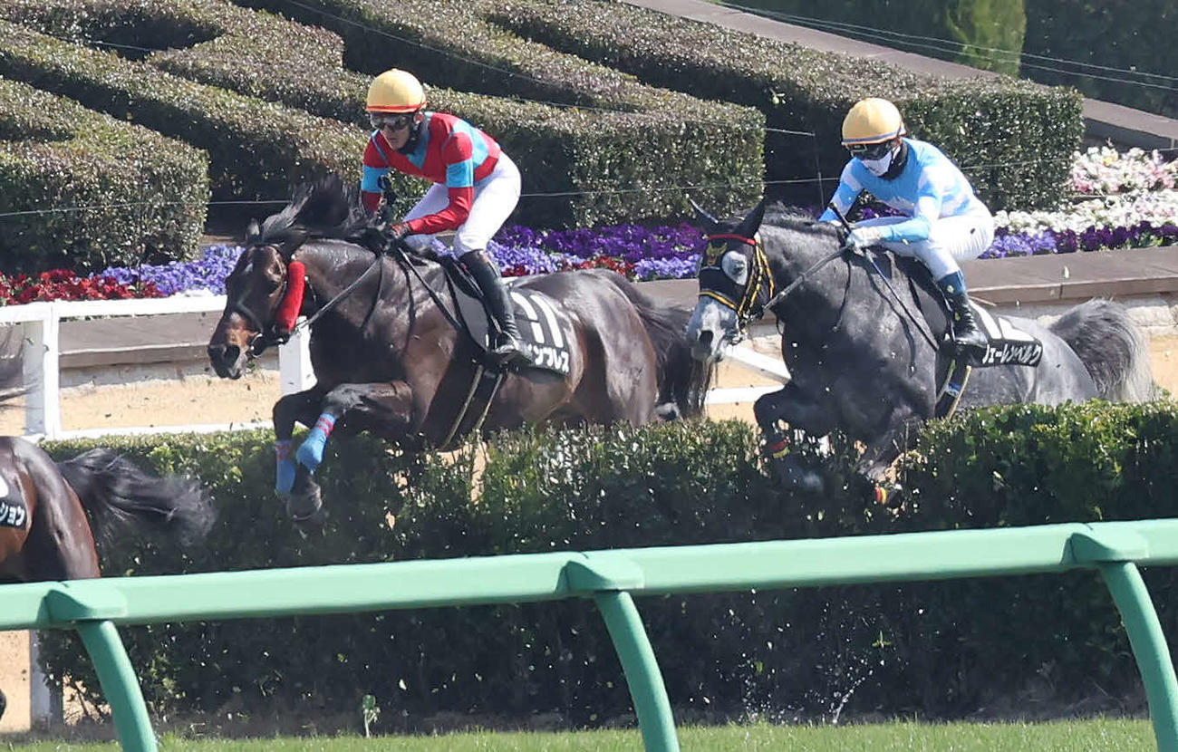 ペガサスJSを制したインプレスと小牧加矢太騎手（左）（撮影・丹羽敏通）