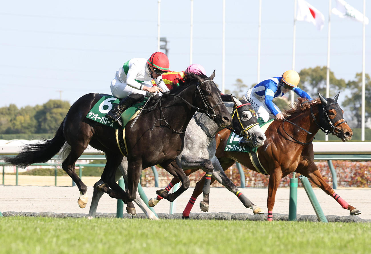 ゴール前の接戦を制してファルコンSに勝利したヤンキーバローズ（左）（撮影・白石智彦）