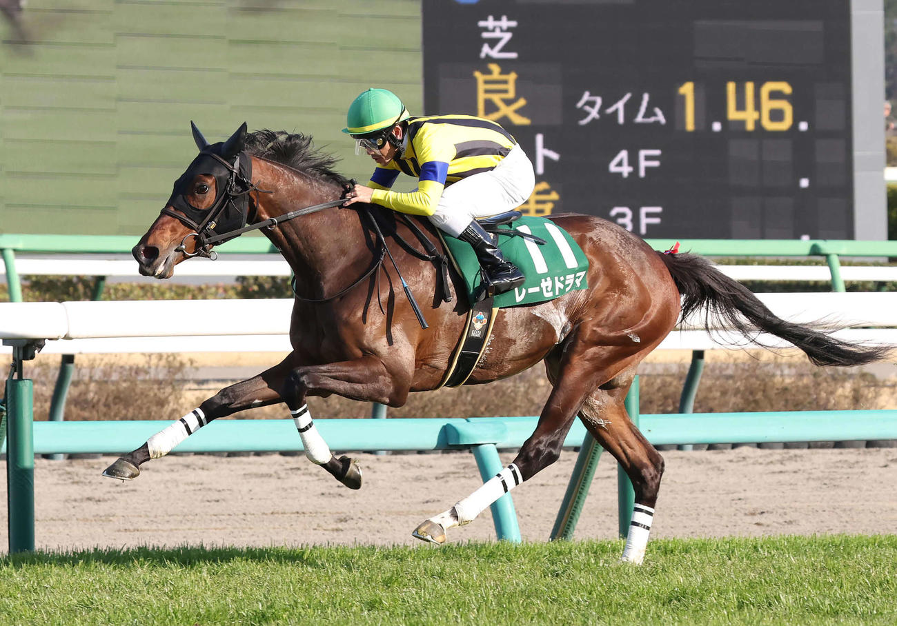 フラワーCを制したレーゼドラマと戸崎騎手（撮影・丹羽敏通）