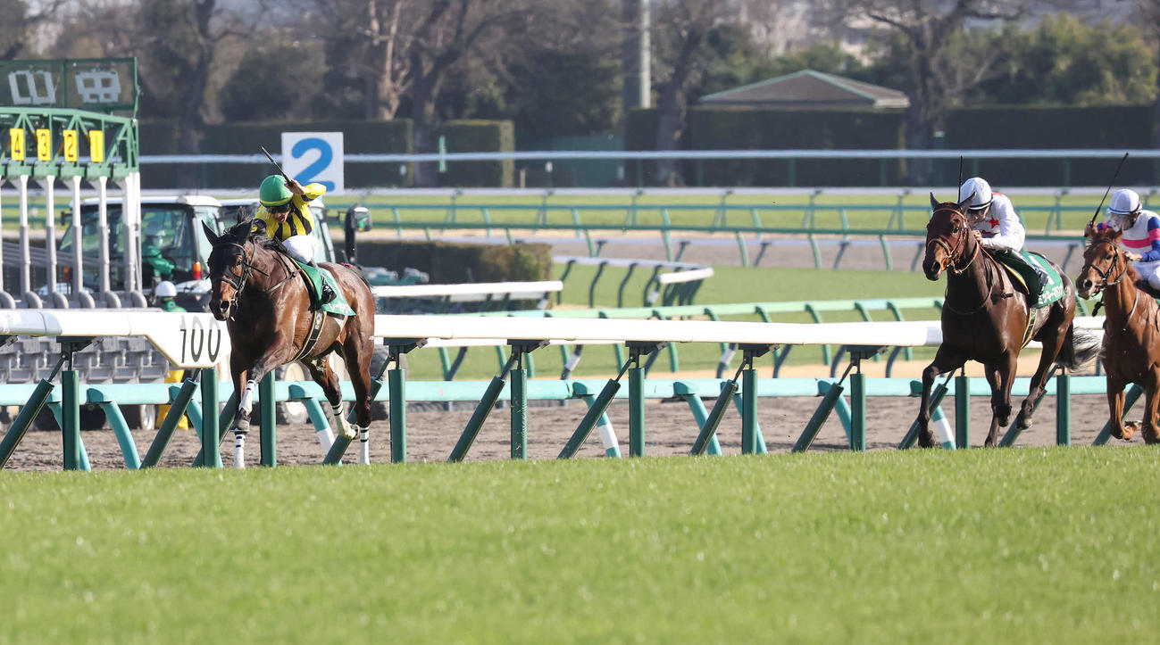 フラワーCを制したレーゼドラマと戸崎騎手（左）（撮影・丹羽敏通）