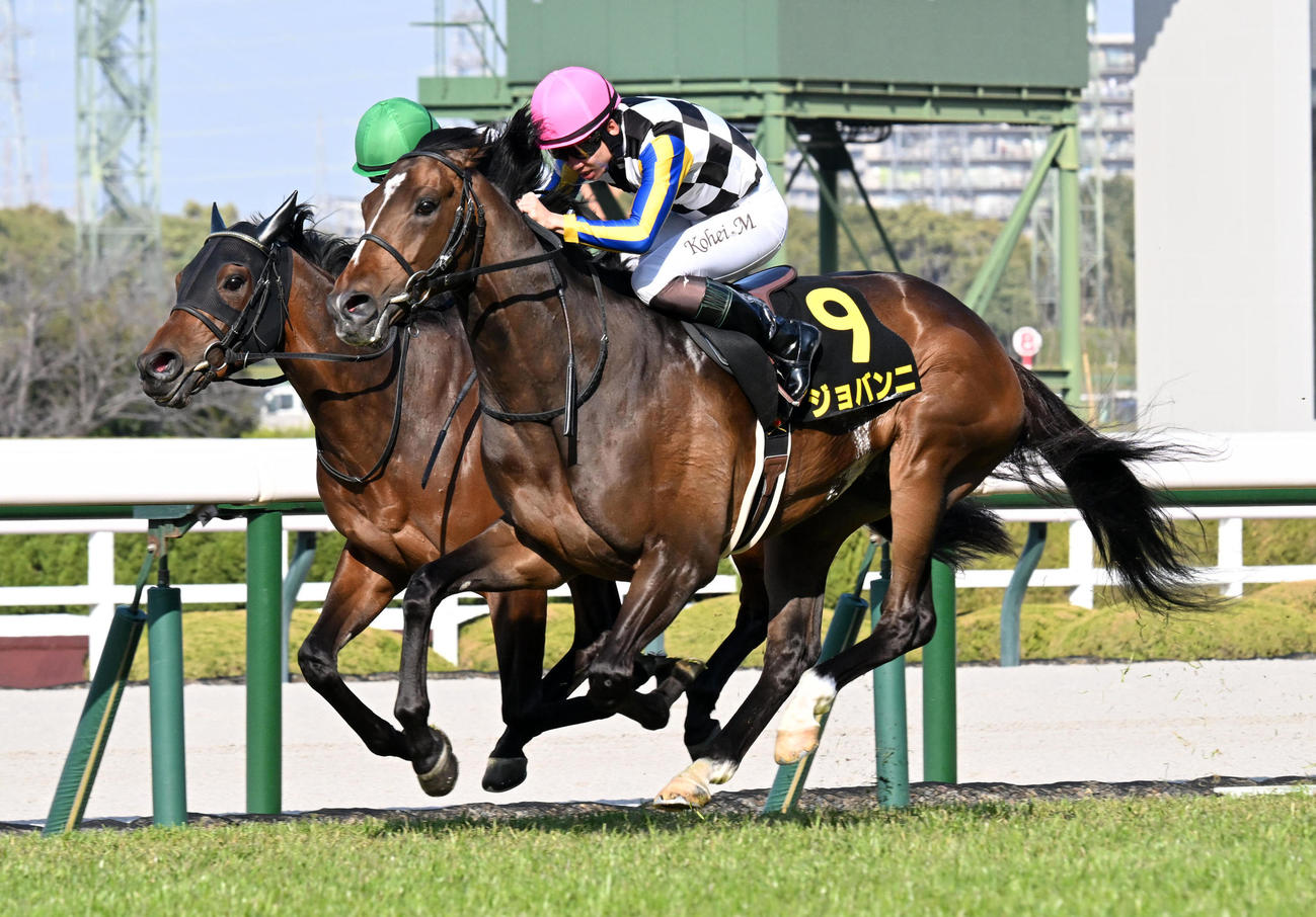 阪神11R、若葉Sを制したジョバンニ（撮影・前岡正明）