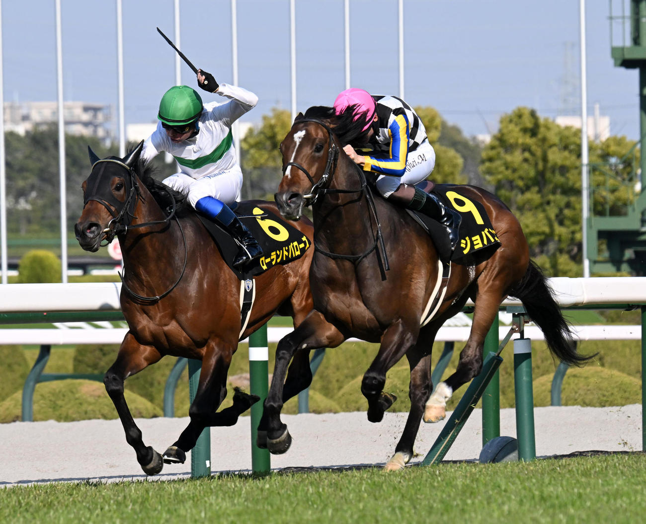 阪神11R、若葉Sで2着のローランドバローズ（左）。右は勝ったジョバンニ