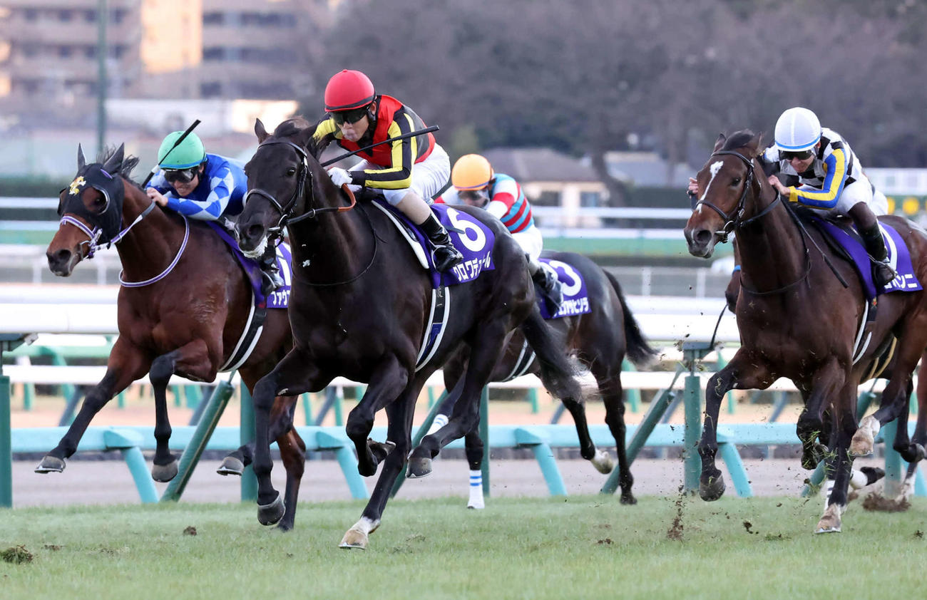 ホープフルSを制したクロワデュノール。左端は3着ファウストラーゼン、右端は2着ジョバンニ（24年12月撮影）