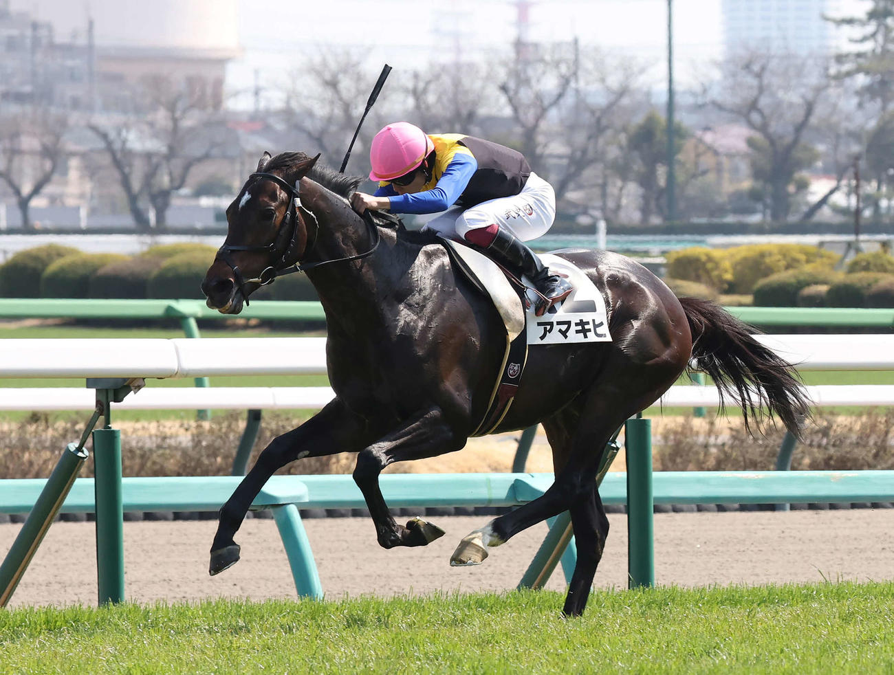 中山6R、3歳1勝クラスを制したアマキヒと横山武騎手（撮影・丹羽敏通）