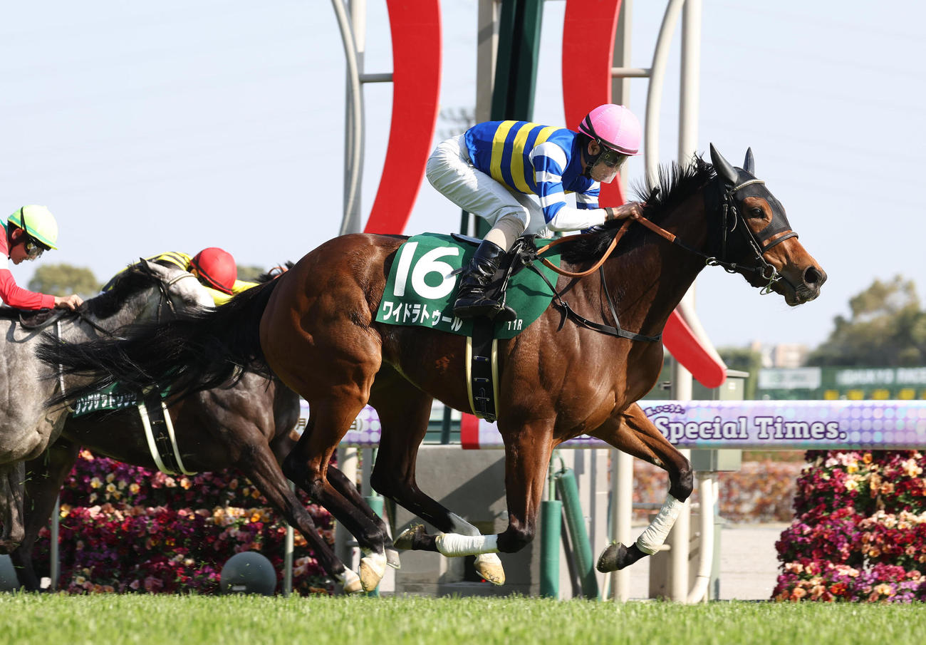 直線鋭く伸びて愛知杯を制したワイドラトゥール（撮影・白石智彦）