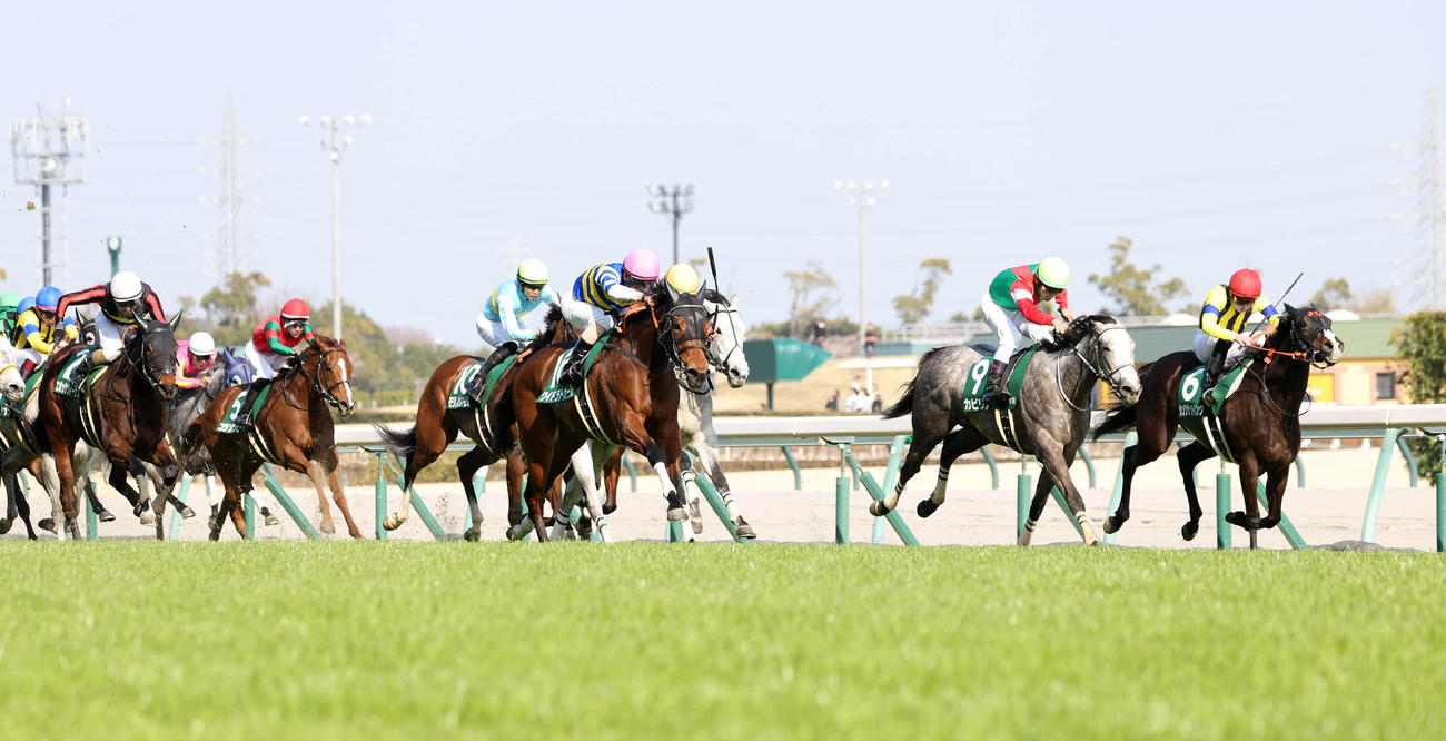 直線鋭く伸びて愛知杯を制したワイドラトゥール（右から4頭目）。右端は2着のシングザットソング