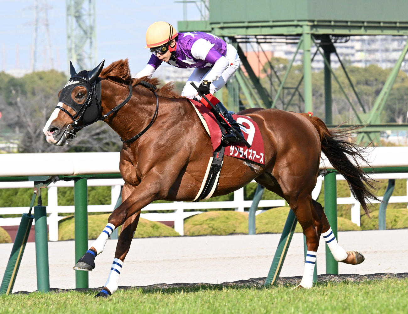 阪神大賞典を制したサンライズアース（撮影・前岡正明）