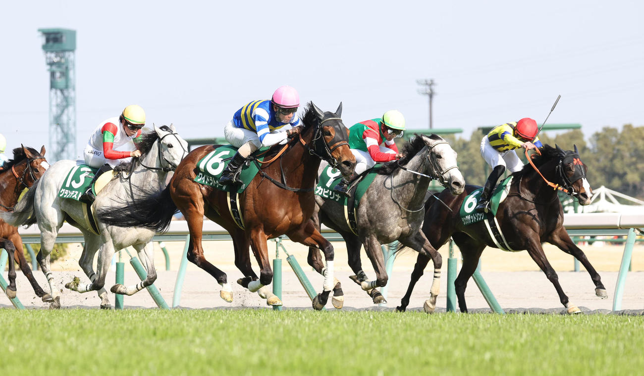 愛知杯2着に入ったシングザットソング（右端）
