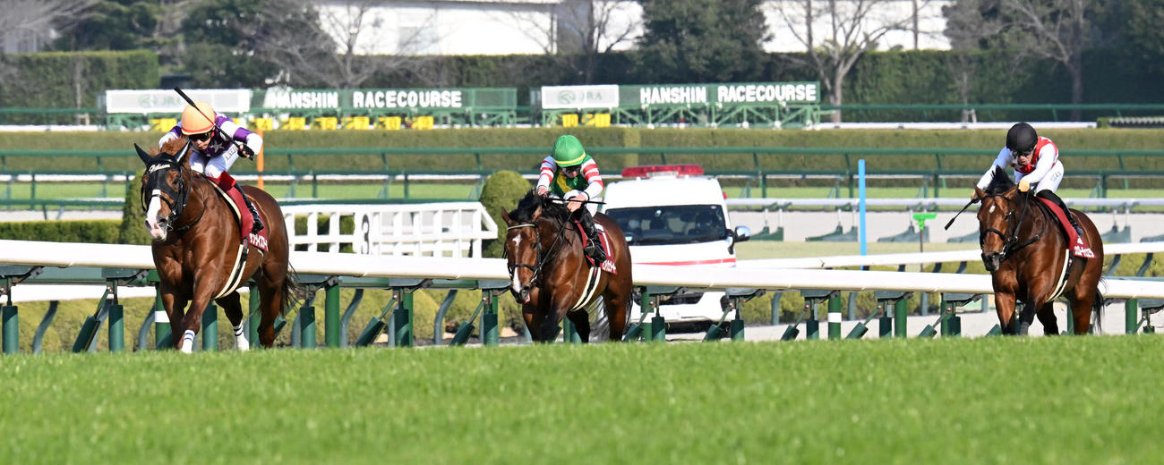 阪神大賞典を制したサンライズアース（撮影・前岡正明）
