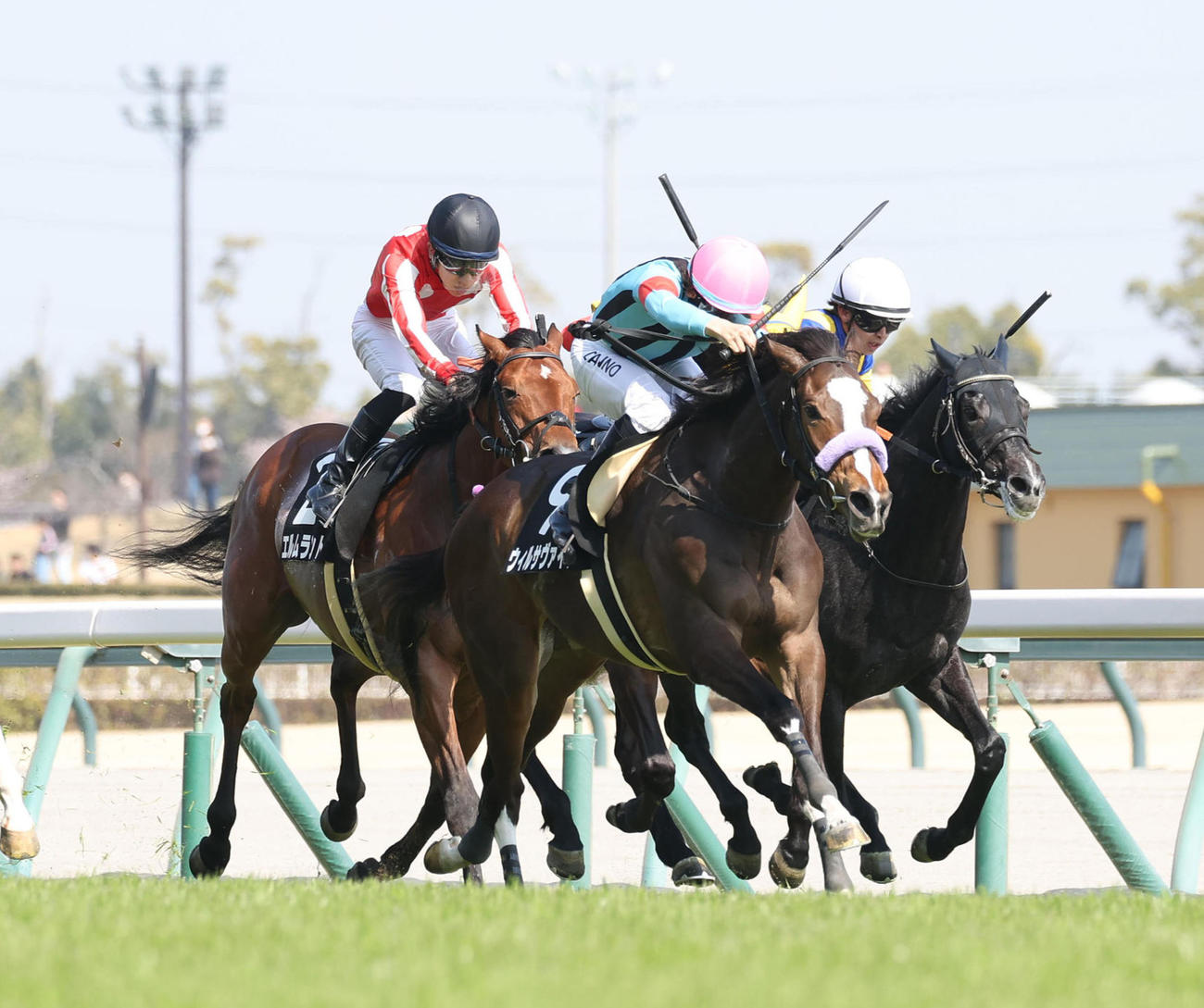 中京9R、直線抜け出してフローラルウォーク賞を制したウィルサヴァイブ（中央）（撮影・白石智彦）