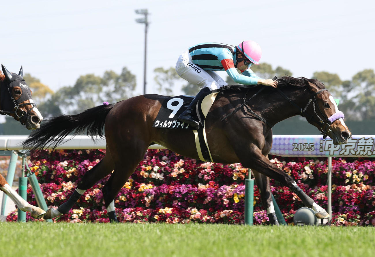中京9R、直線抜け出してフローラルウォーク賞を制したウィルサヴァイブ（撮影・白石智彦）