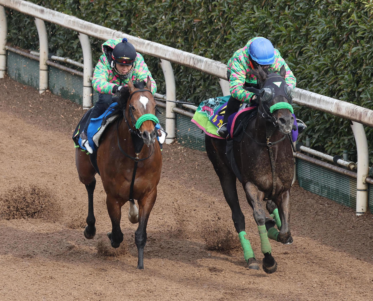 併せ馬で追い切るルガル（右）（2025年3月19日撮影）