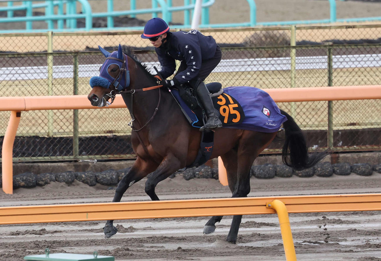 20日、ダートコースで調整するキングノジョーと坂井騎手