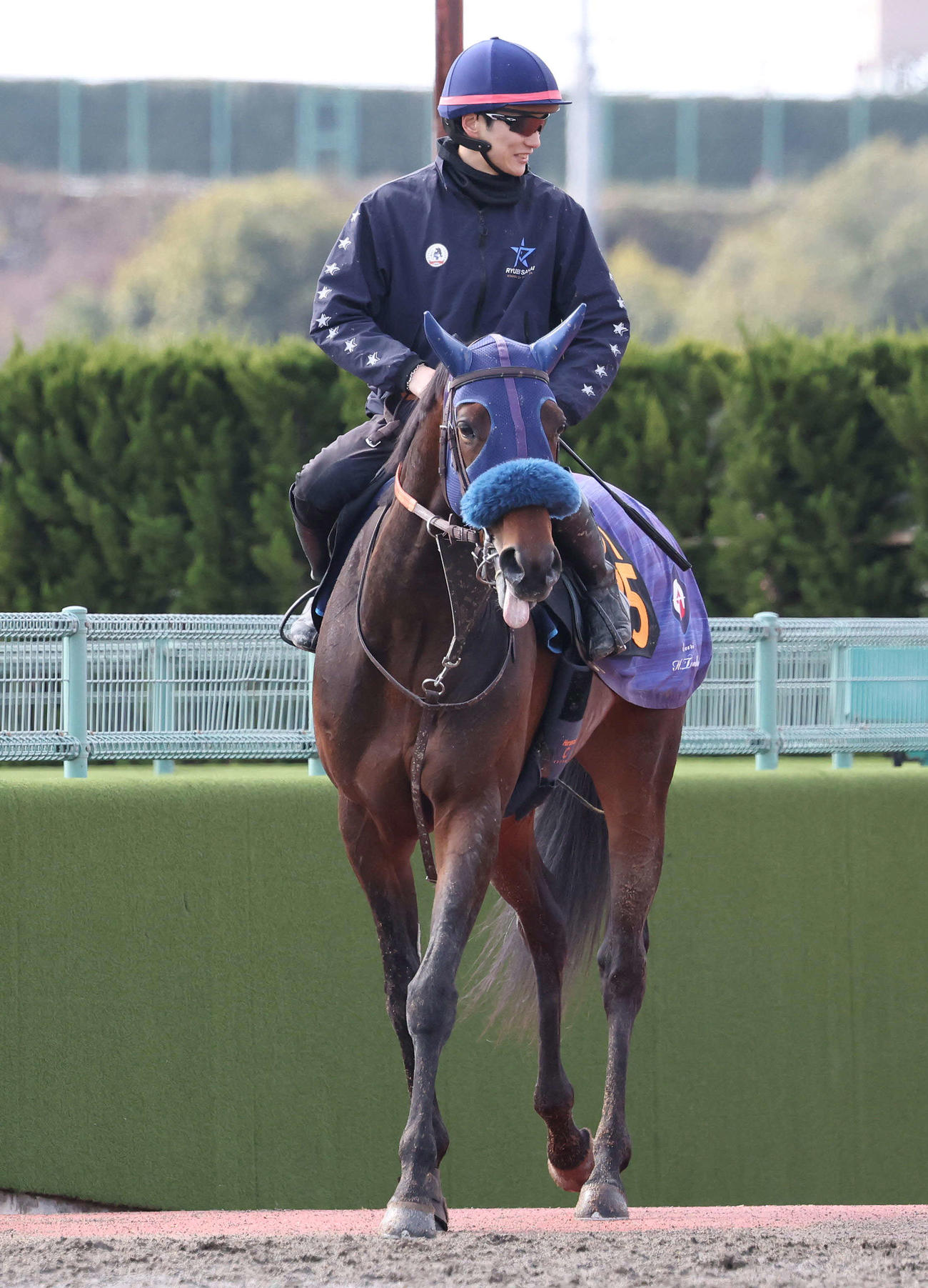 追い切りを終えたキングノジョーと坂井騎手（2025年3月20日撮影）