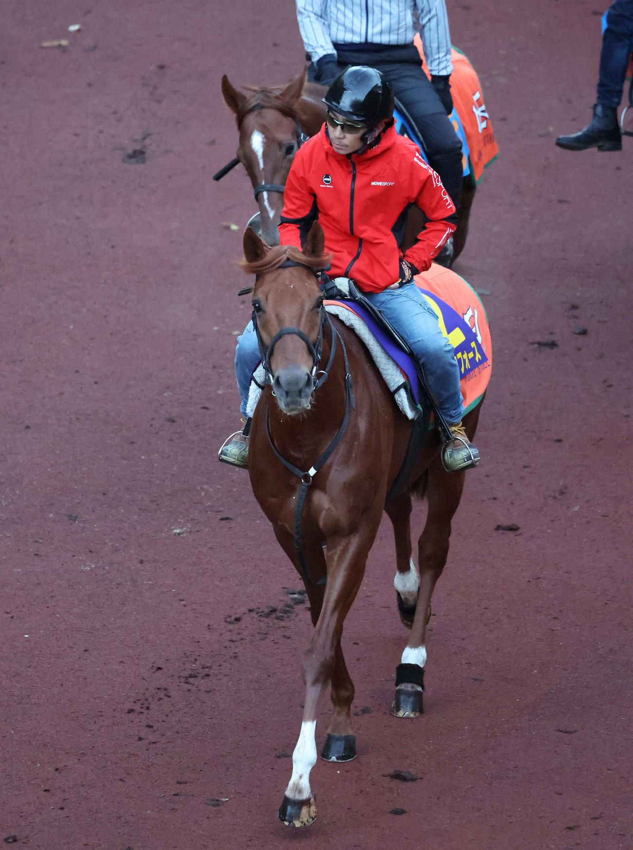 24年11月、逍遥馬道で運動するブレイクフォース