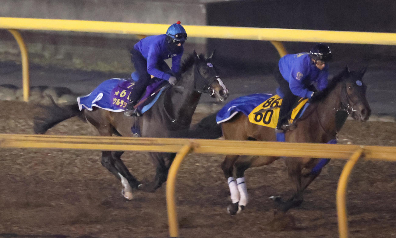 Cウッドを併せ馬で追い切るソウルラッシュ（左）