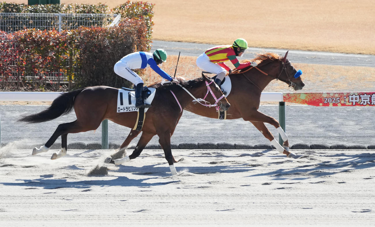 1月18日、3歳1勝クラスで勝利したベルベルコンパス（右）