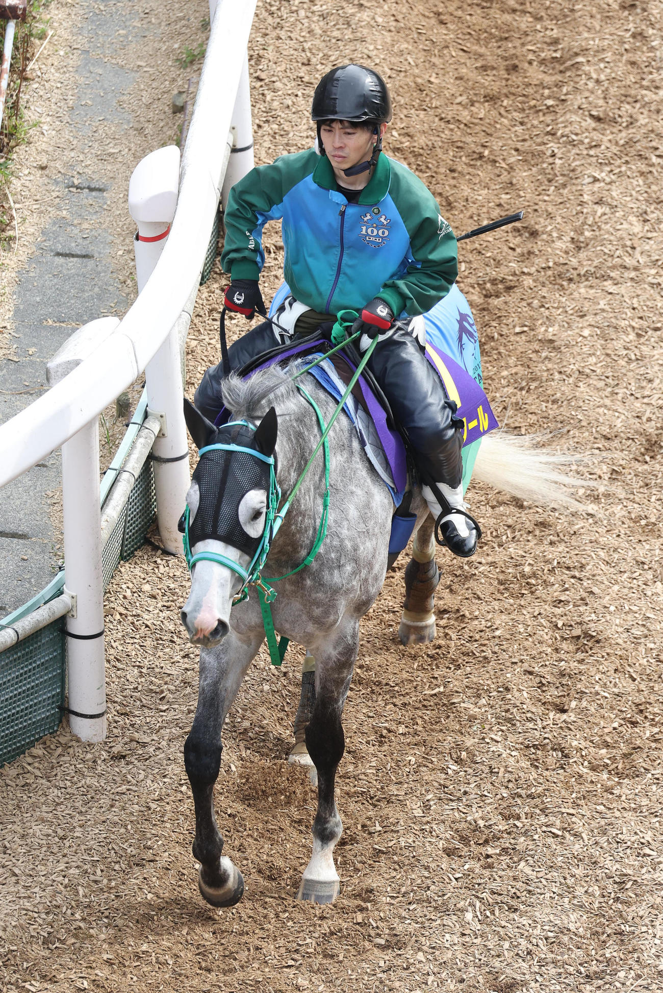 逍遥馬道で運動するマッドクール（撮影・白石智彦）