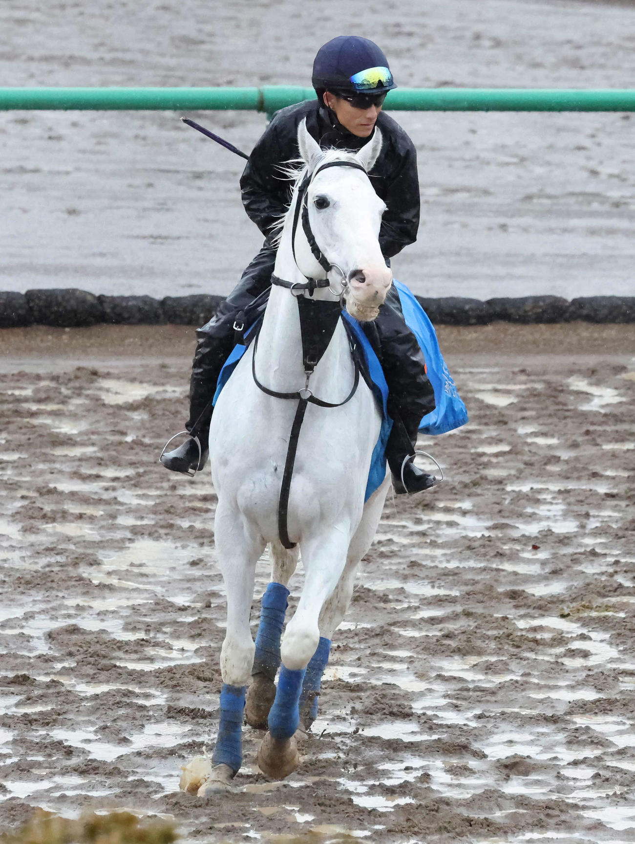 19日、角馬場で調整するハヤヤッコ