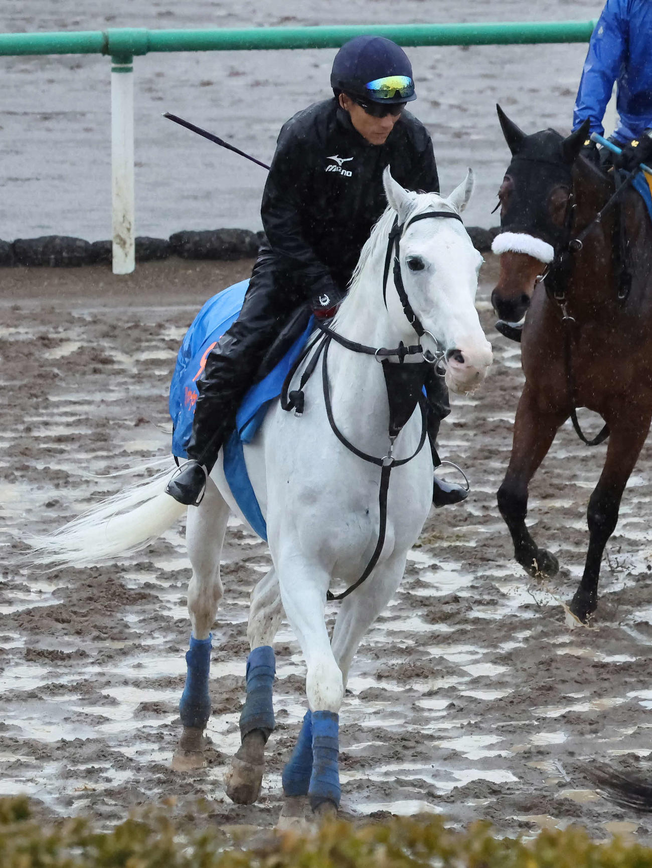 19日、角馬場で調整するハヤヤッコ