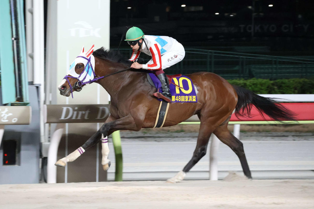 直線で抜け出し京浜盃を制したナチュラルライズと横山武騎手（撮影・牛山基康）