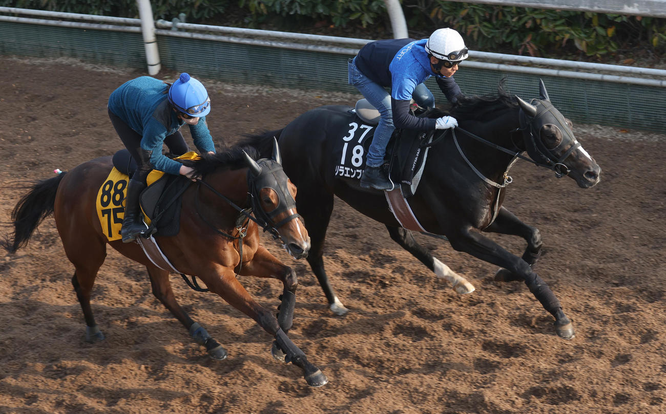 浜中騎手を背に坂路にて併せ馬で追い切るリラエンブレム（右）