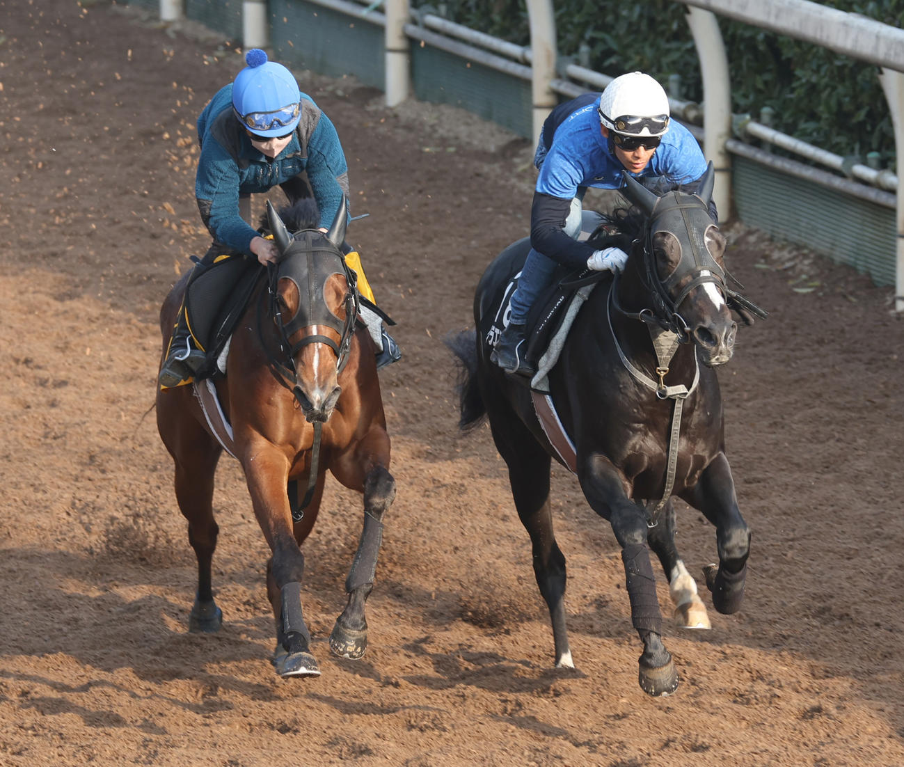 浜中騎手を背に坂路にて併せ馬で追い切るリラエンブレム（右）