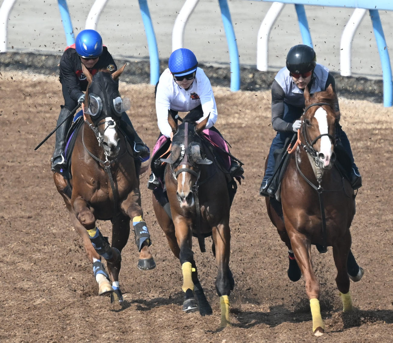 美浦ウッドを3頭併せで追い切るアーバンシック（左）（撮影・千葉一成）