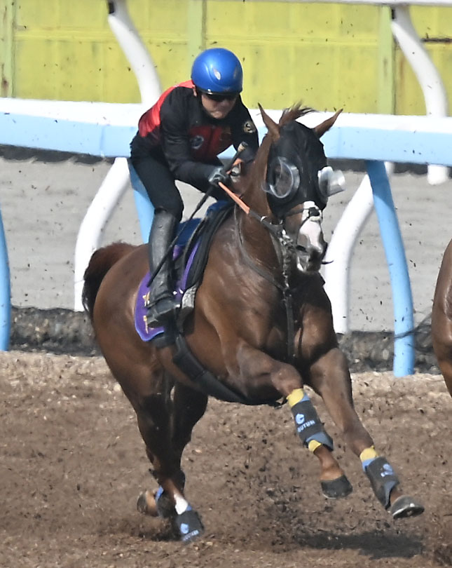 美浦ウッドを3頭併せで追い切るアーバンシック（撮影・千葉一成）