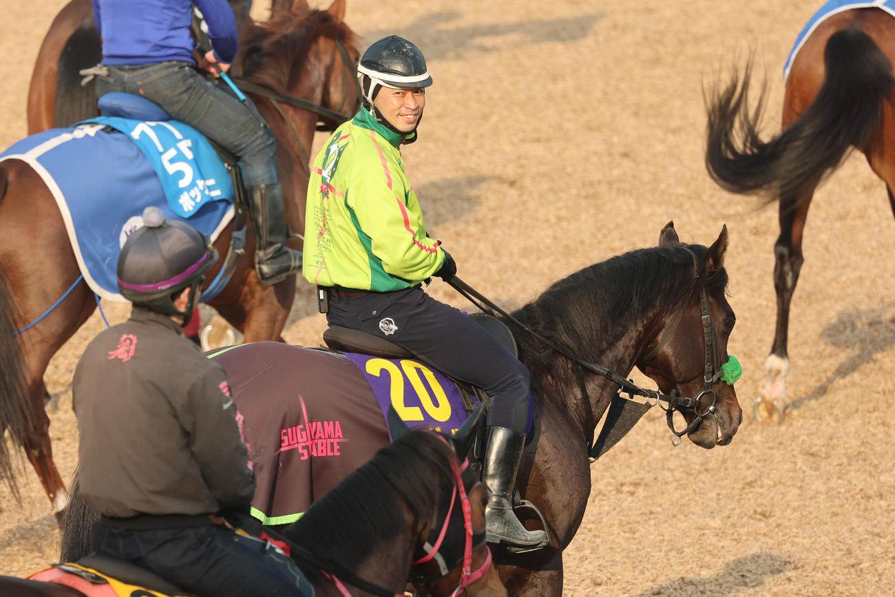 ルガルの追い切り後、角馬場で状態をチェックした杉山晴紀調教師