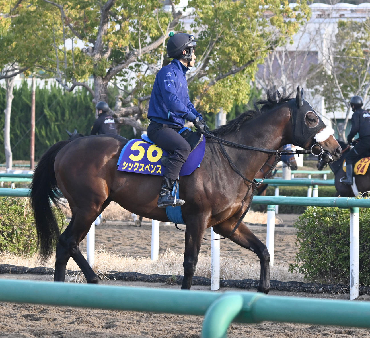 乗り運動するシックスペンス（撮影・千葉一成）