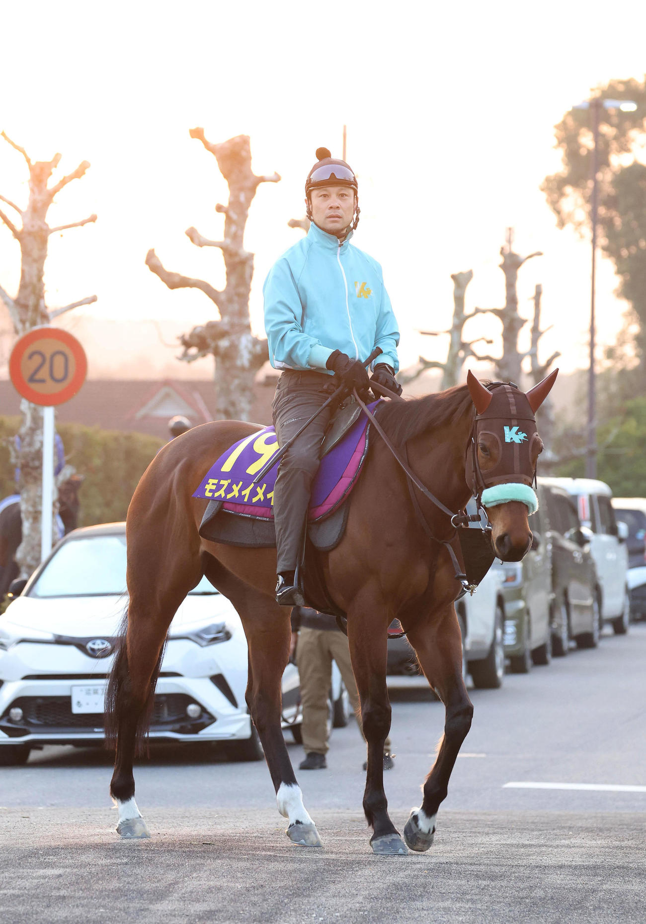 厩舎周りで運動するモズメイメイ（撮影・白石智彦）