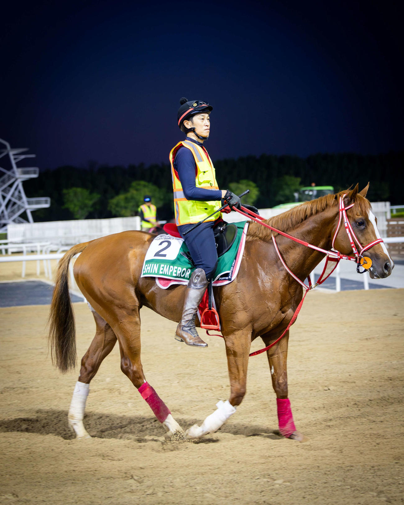1週前追い切りを終えたシンエンペラー（C）Dubai Racing Club